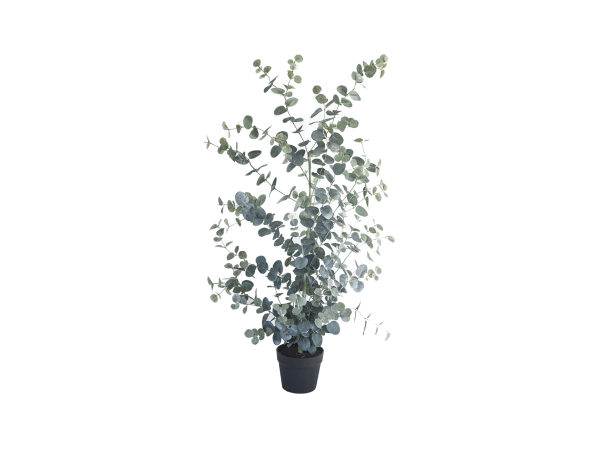 Kunstig eucalyptustre og 3 bøker