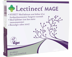 Lectinect Mage