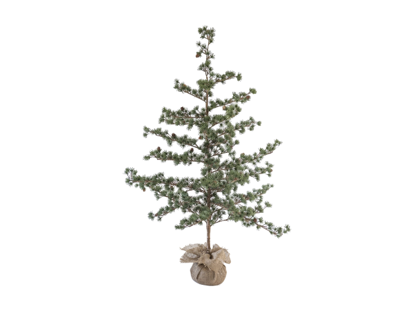 Lerketre med kongler og 2 bøker