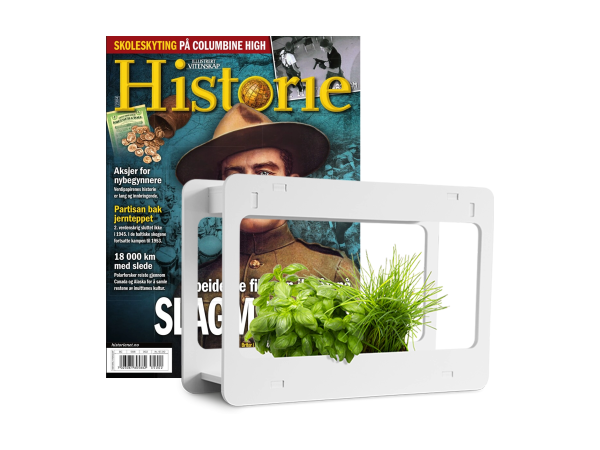 Mini Garden og HISTORIE